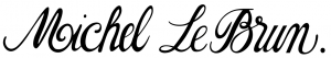 Logo de Michel LeBrun val d'anglin sas